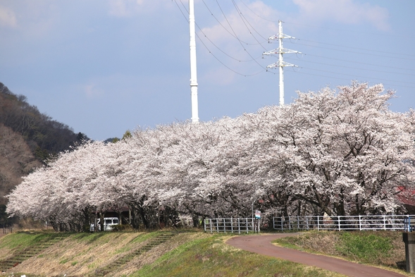 【ＧW１泊プラン】混みあう観光地を避け、静かな湯岐へ早めチェックインでのんびり温泉はいかがですかー！